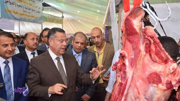 تخفيضات 20%.. إقامة 7 شوادر لبيع اللحوم البلدى الطازجة والمجمدة فى بني سويف.. والمحافظ: تجهيزها وفق المعايير والإجراءات الفنية المطلوبة.. ونستهدف 40 وحدة محلية