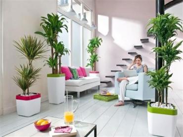 بحيل بسيطة.. جددي ديكور منزلك استعدادا لعيد الأضحى