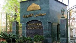 برلماني يطالب بتبعية الهيئات الإعلامية الثلاث لمجلس الشيوخ