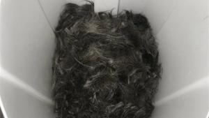 رجل يكشف محاولة صديقه صنع وسادة من شعر آدمي